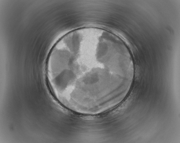 X0000111481048200908111157
