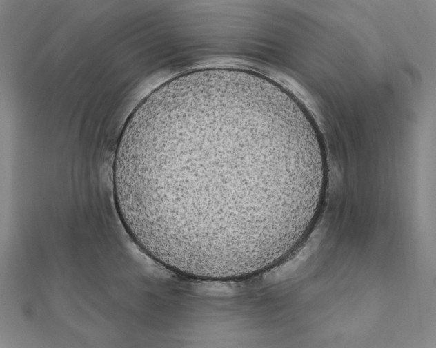 X0000111481049200908111157
