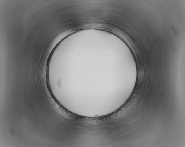 X0000111481050200908111157