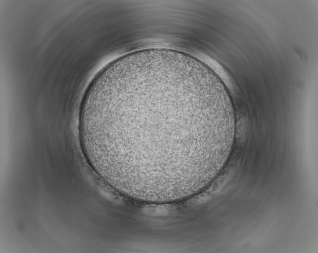 X0000111481051200908111157
