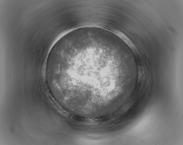 X0000111481052200908111157