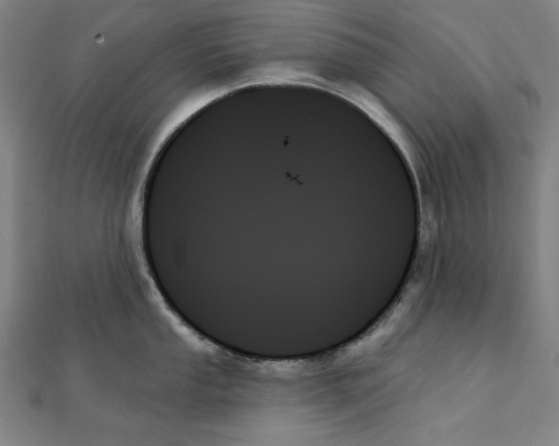 X0000111481053200908111157