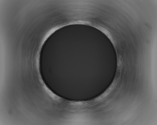 X0000111481054200908111157