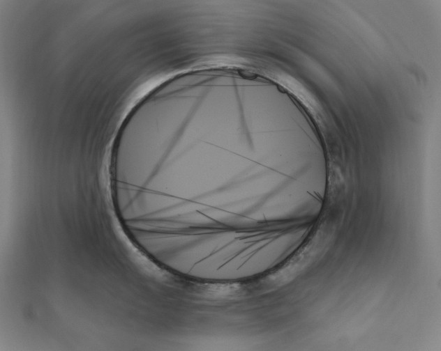 X0000111481055200908111157