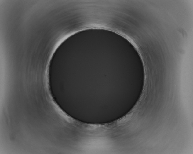 X0000111481056200908111157