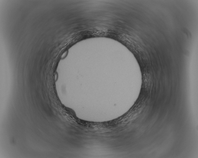 X0000111481057200908111156