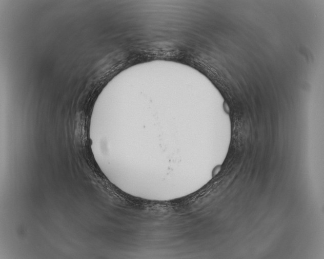 X0000111481058200908111156