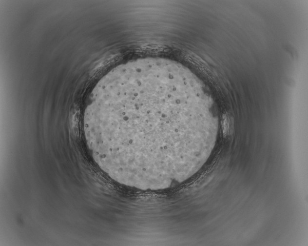 X0000111481059200908111156