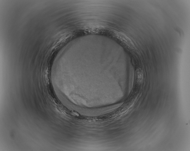 X0000111481060200908111156