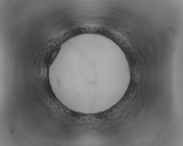 X0000111481061200908111156