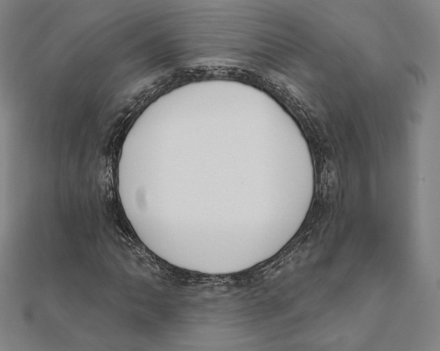 X0000111481062200908111156