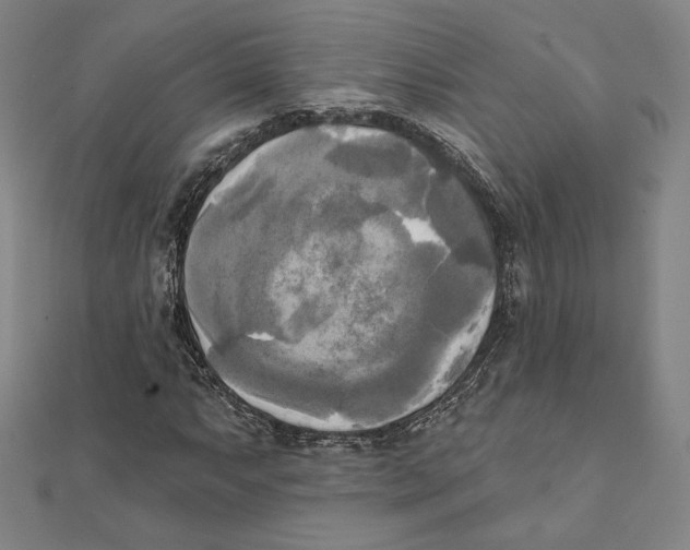 X0000111481063200908111156