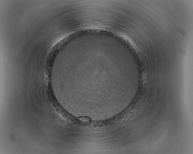 X0000111481064200908111156