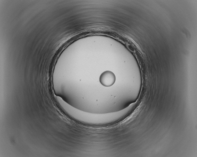 X0000111481065200908111156