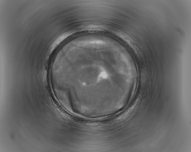 X0000111481066200908111156