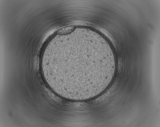 X0000111481067200908111156