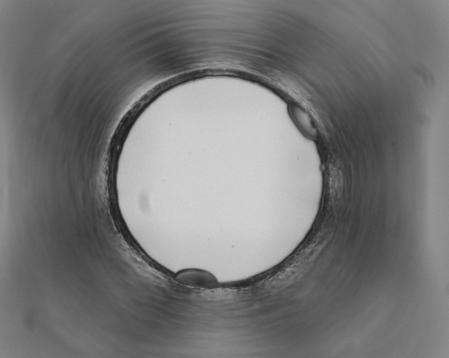 X0000111481068200908111156