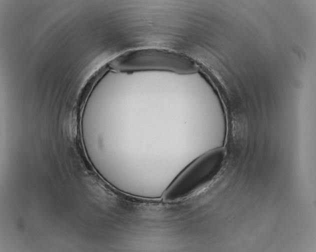 X0000111481069200908111156