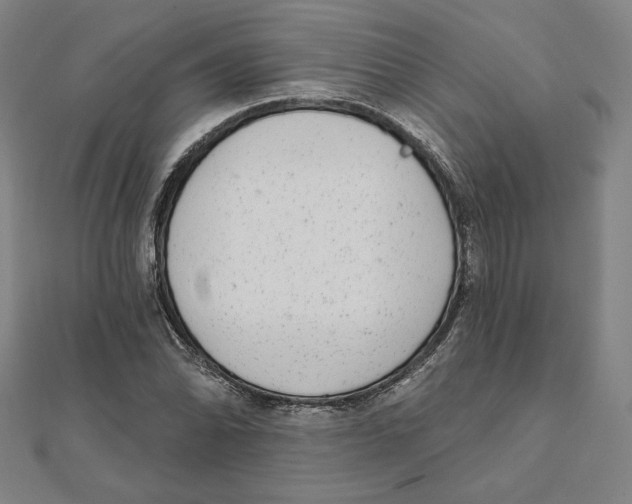 X0000111481070200908111156