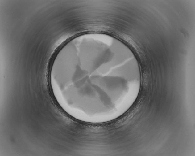 X0000111481071200908111156