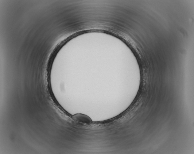 X0000111481072200908111156