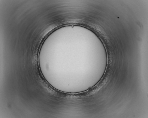 X0000111481073200908111156