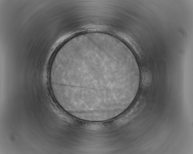 X0000111481074200908111156