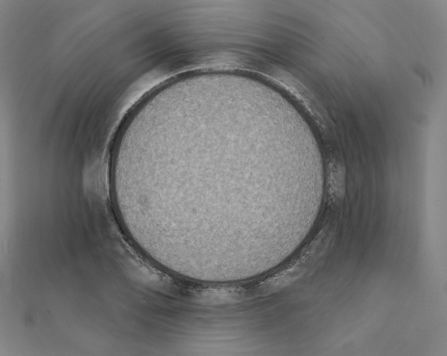 X0000111481078200908111156