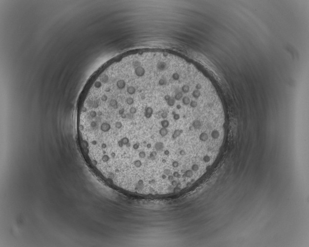 X0000111481079200908111156