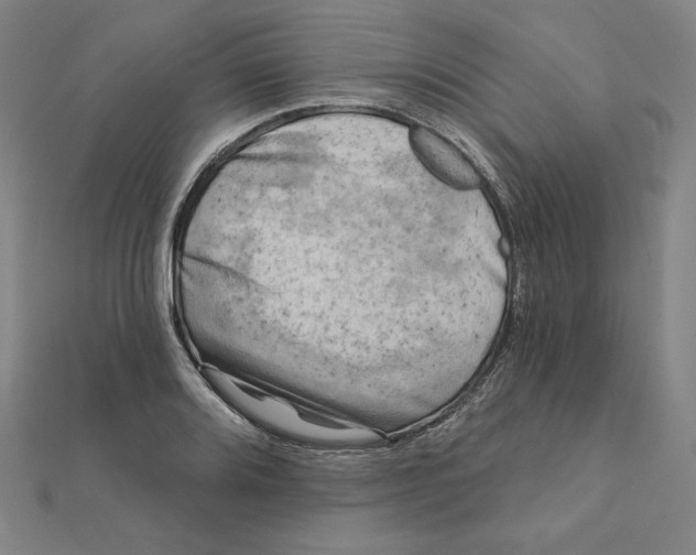 X0000111481080200908111156