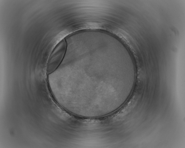 X0000111481081200908111156