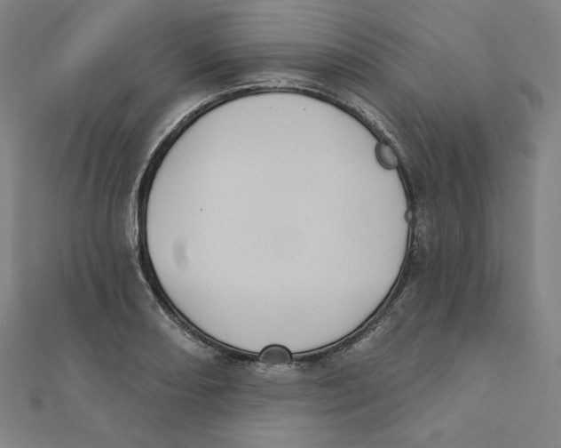 X0000111481082200908111156