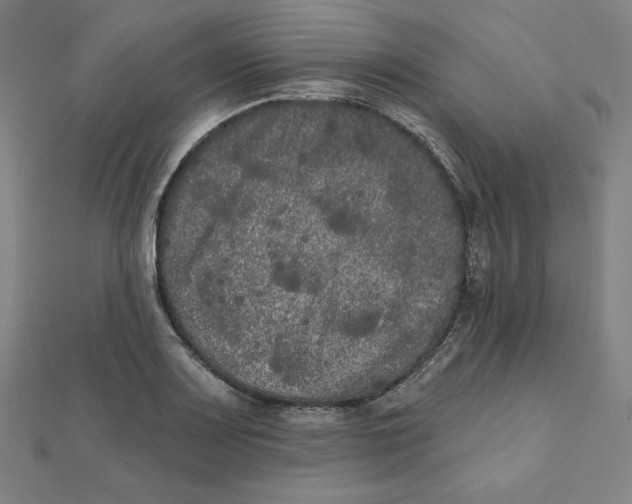 X0000111481083200908111156