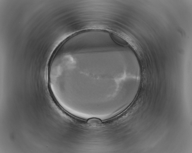 X0000111481084200908111156