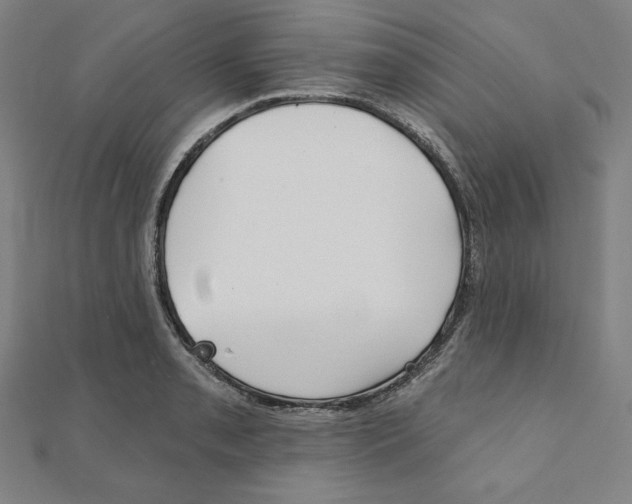 X0000111481085200908111156