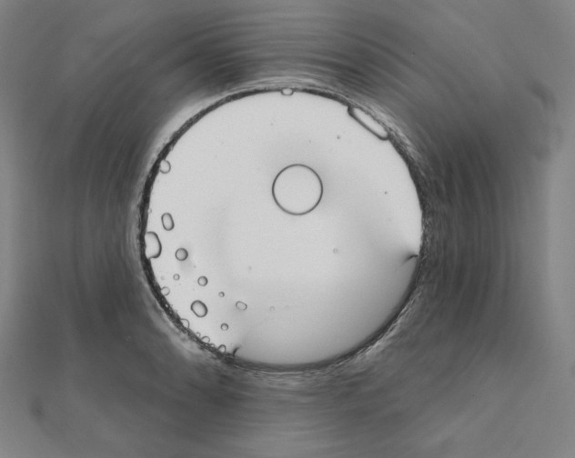 X0000111481086200908111156
