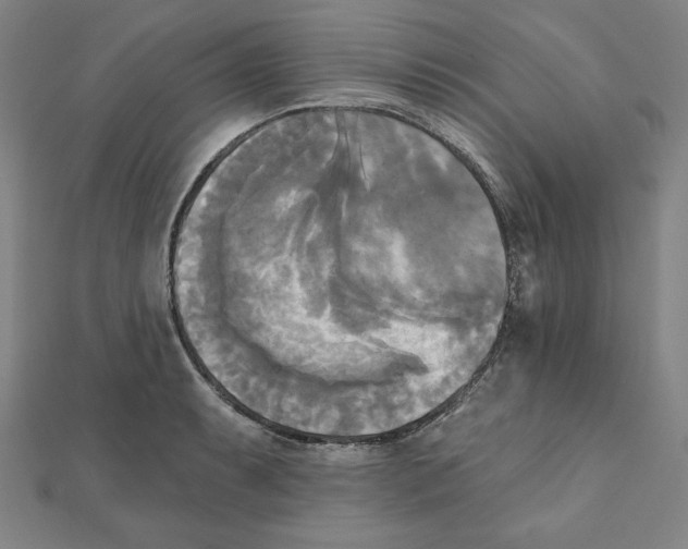 X0000111481087200908111156