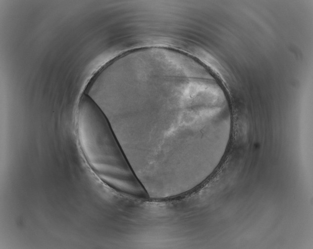 X0000111481088200908111155