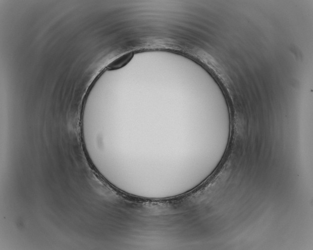 X0000111481089200908111155