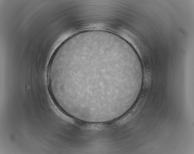X0000111481090200908111155