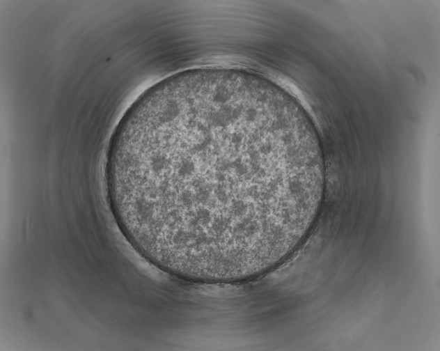 X0000111481091200908111155