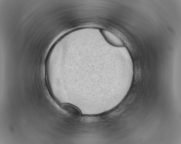 X0000111481092200908111155