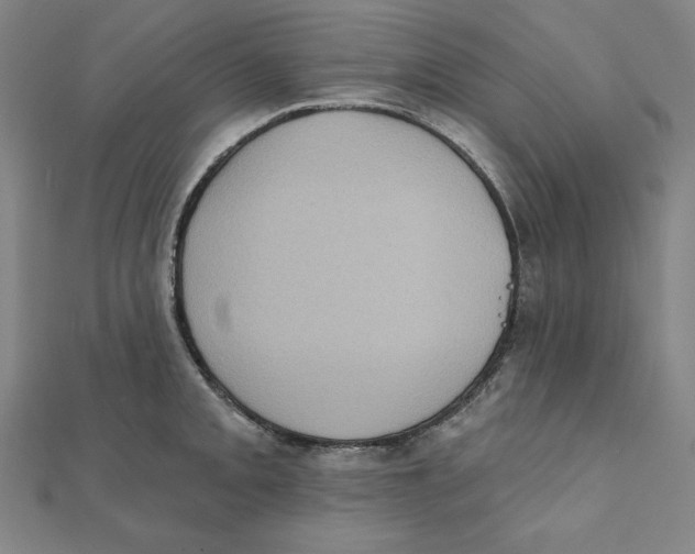 X0000111481093200908111155