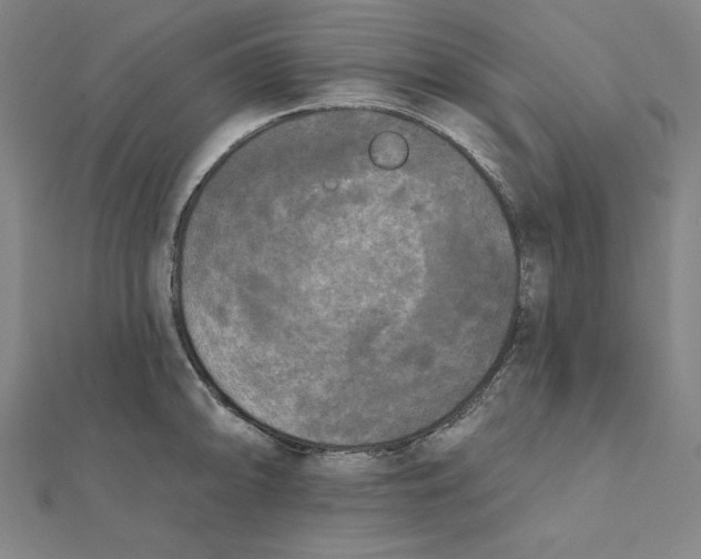 X0000111481094200908111155