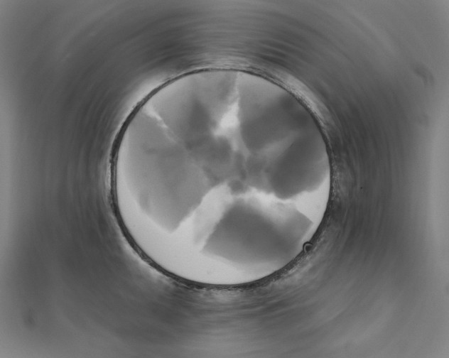 X0000111481095200908111155
