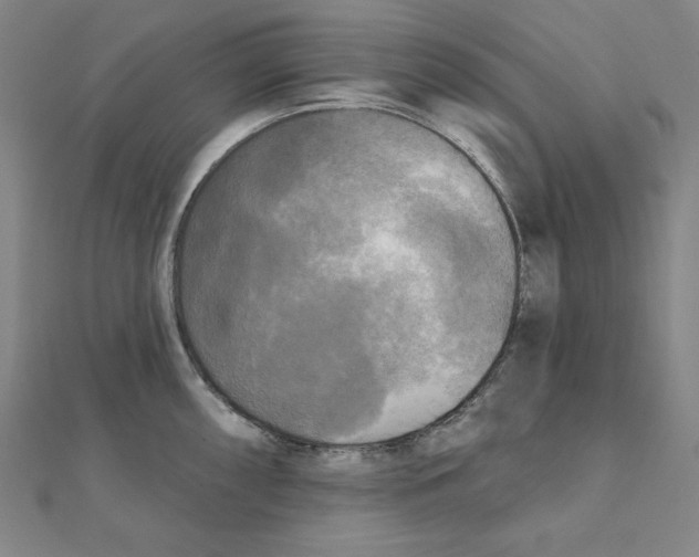 X0000111481098200908111155