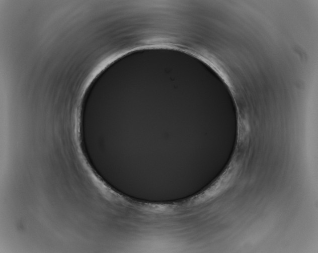 X0000111481101200908111155