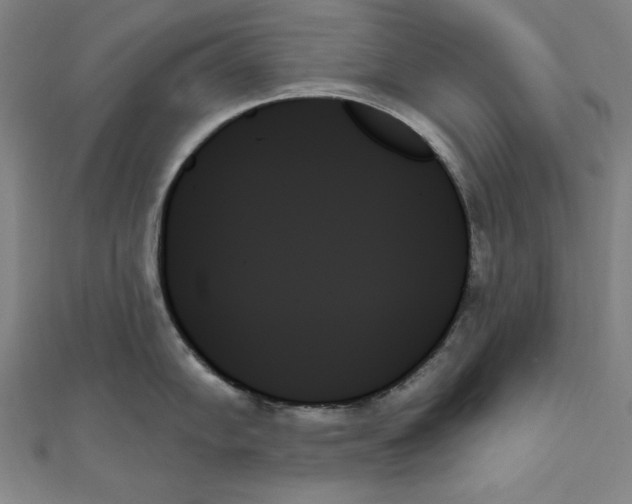 X0000111481102200908111155
