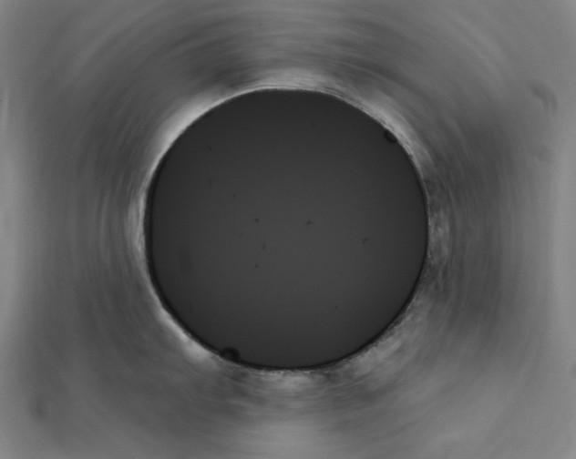 X0000111481103200908111155