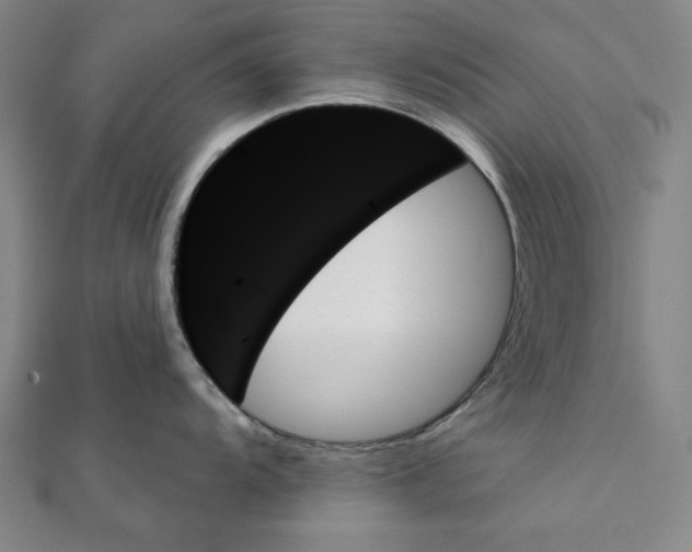 X0000111481104200908111155